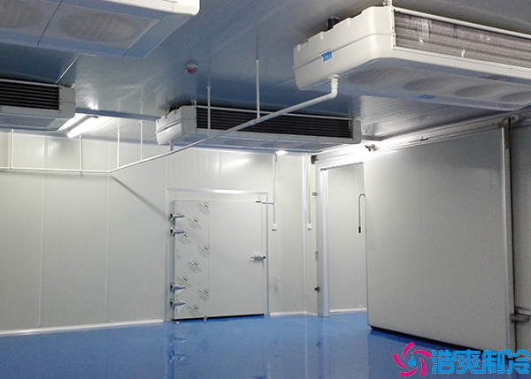 低温食品水蜜桃在线视频