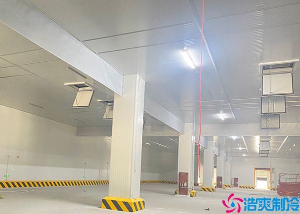 一万吨水蜜桃在线视频