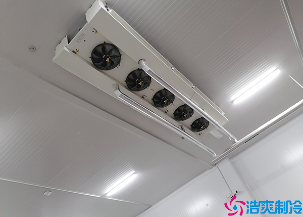 光纤测温与水蜜桃在线视频测温