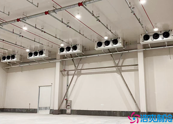 大型食品水蜜桃在线视频