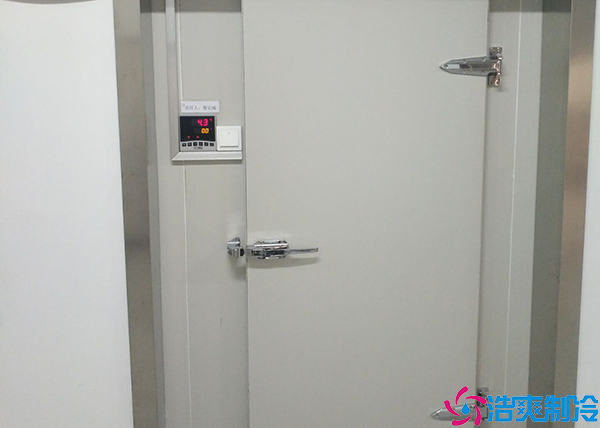 小型物流水蜜桃在线视频