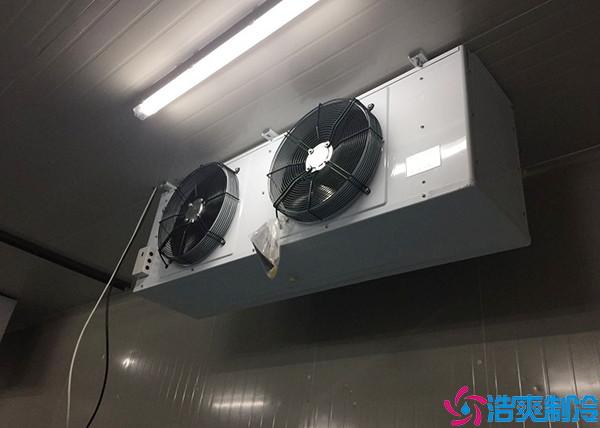 小型物流水蜜桃在线视频