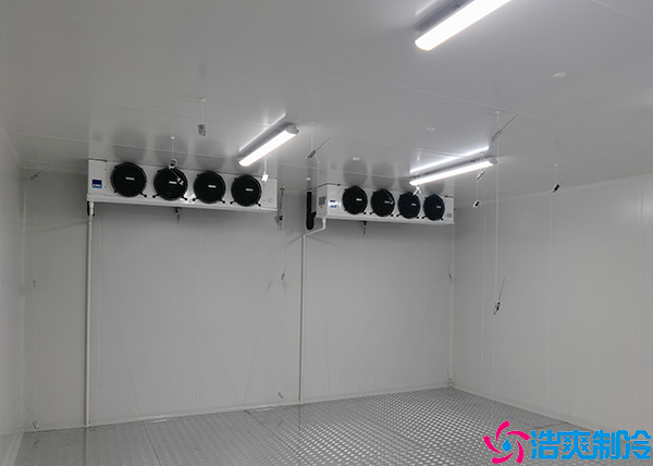 蔬菜保鲜水蜜桃在线视频