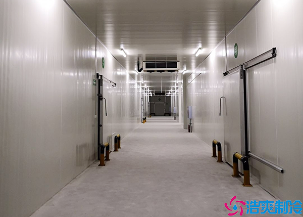 蔬菜保鲜水蜜桃在线视频