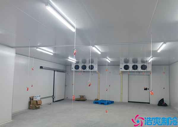 水果类水蜜桃在线视频