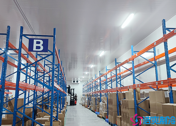 保鲜水蜜桃在线视频