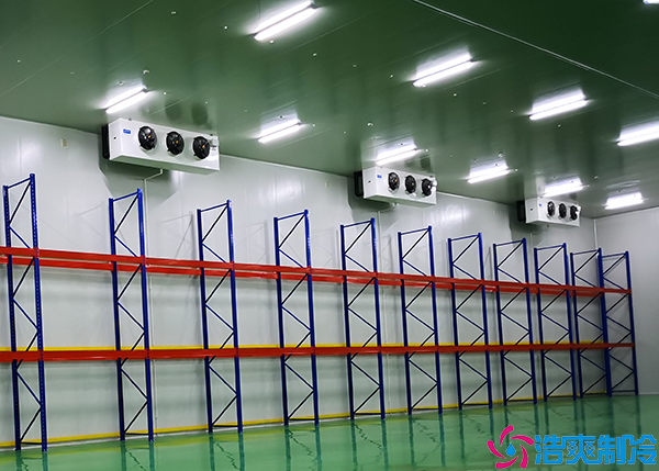 牛肉水蜜桃在线视频