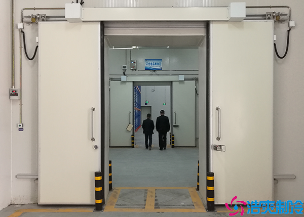 速冻水蜜桃在线视频