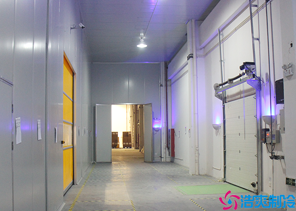 物流水蜜桃在线视频