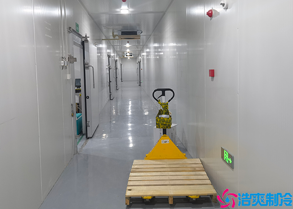 生鲜食品水蜜桃在线视频