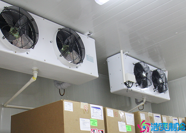 食品小型水蜜桃在线视频