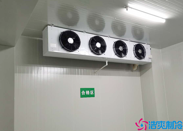 食品低温水蜜桃在线视频