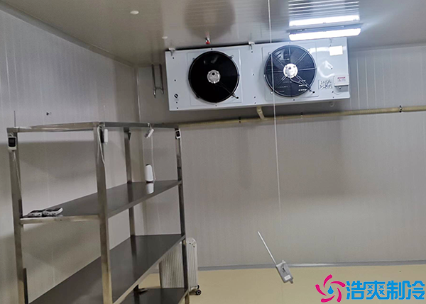 微型气调保鲜水蜜桃在线视频