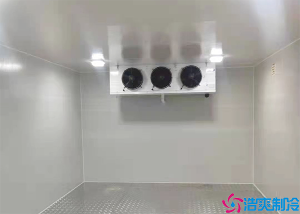 微型肉品水蜜桃在线视频