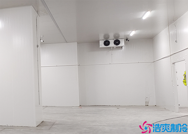 小型气调水蜜桃在线视频