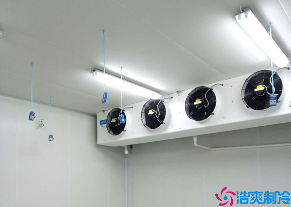 低温水蜜桃在线视频