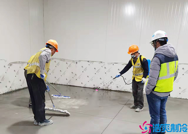 低温水蜜桃在线视频