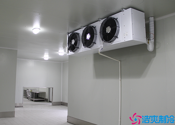 肉类食品水蜜桃在线视频