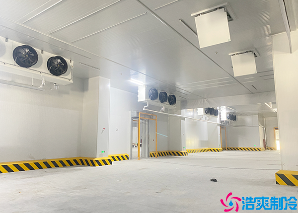 冷链物流仓储水蜜桃在线视频