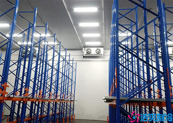 水果气调水蜜桃在线视频