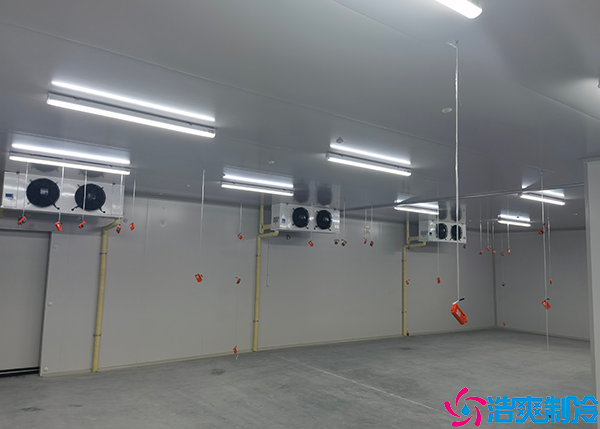 小型速冻水蜜桃在线视频