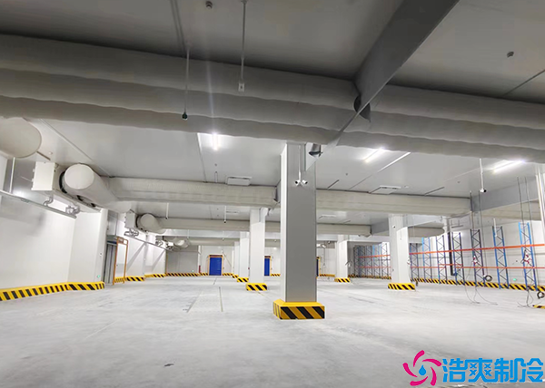 物流水蜜桃在线视频