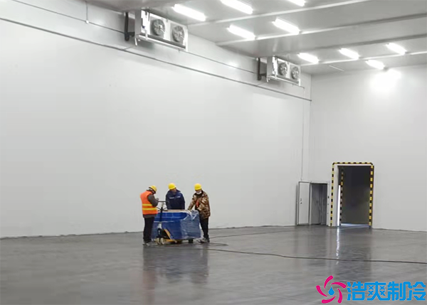 水蜜桃在线视频