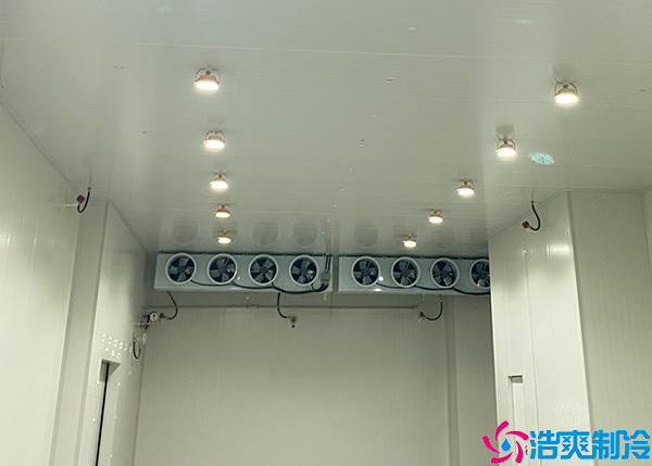 大型物流水蜜桃在线视频