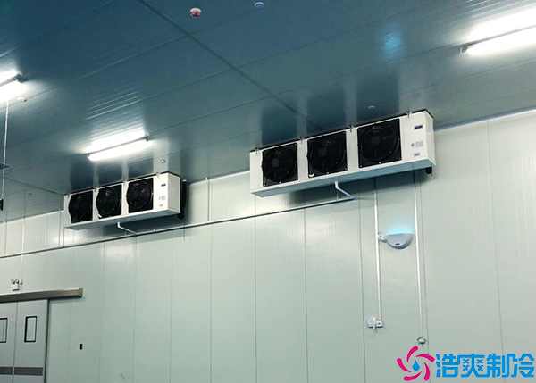 大型速冻水蜜桃在线视频