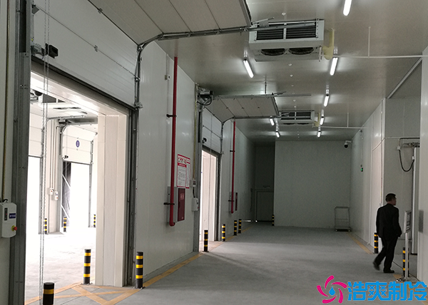 微型气调保鲜水蜜桃在线视频