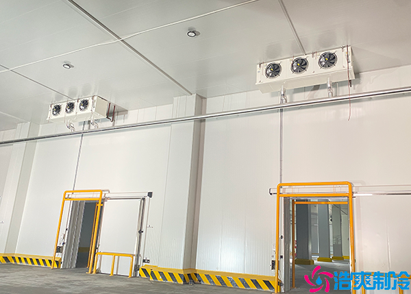 大型物流水蜜桃在线视频