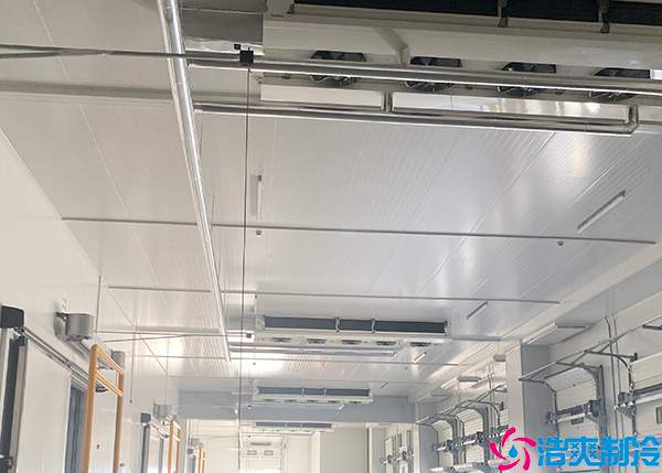 大型物流水蜜桃在线视频