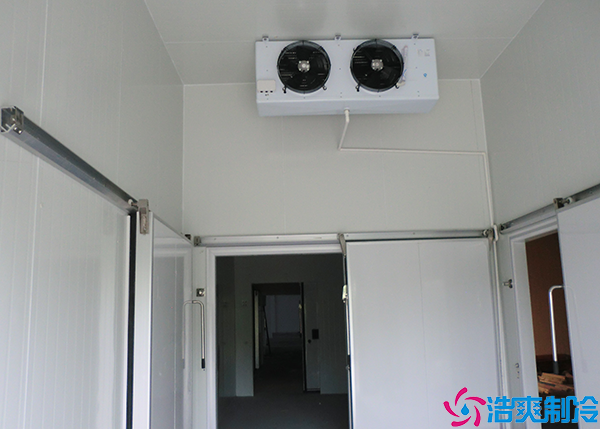 牛肉水蜜桃在线视频