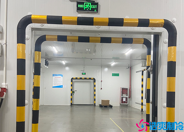 食品水蜜桃在线视频