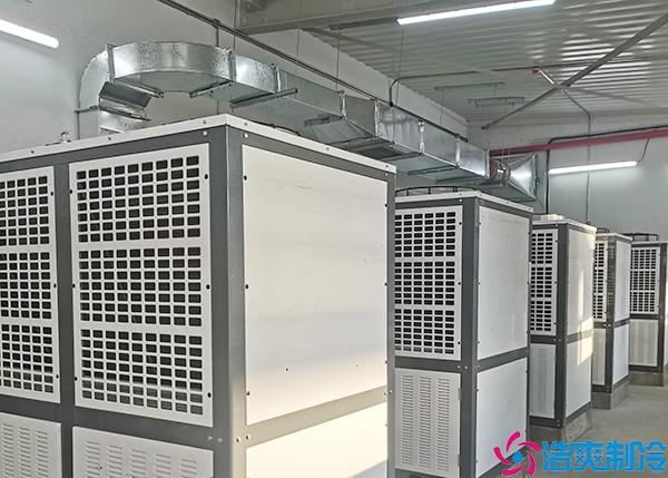 大型食品水蜜桃在线视频设备