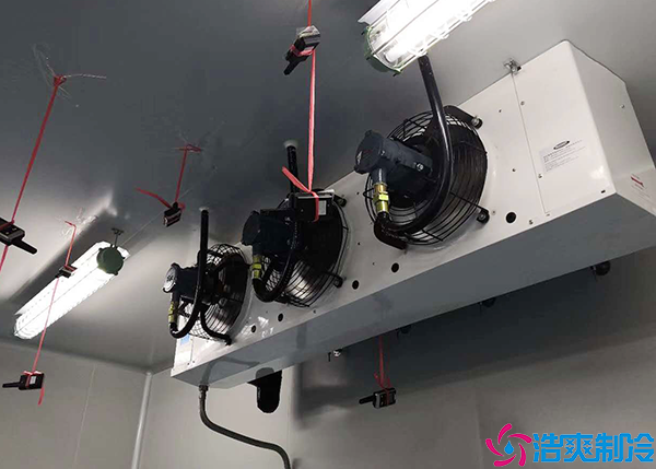 物流水蜜桃在线视频安装