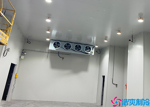 气调水蜜桃在线视频