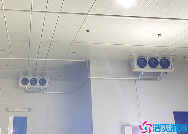 大型水蜜桃在线视频