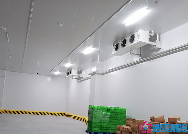 预水蜜桃在线视频