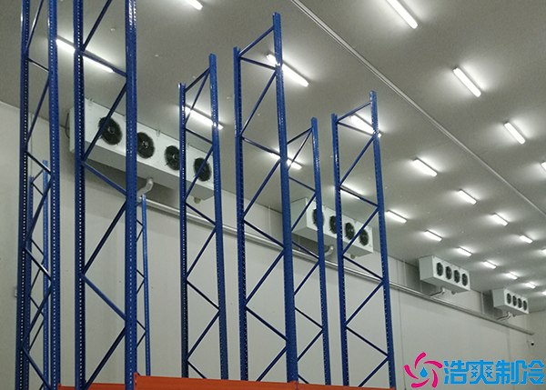 大型牛肉水蜜桃在线视频