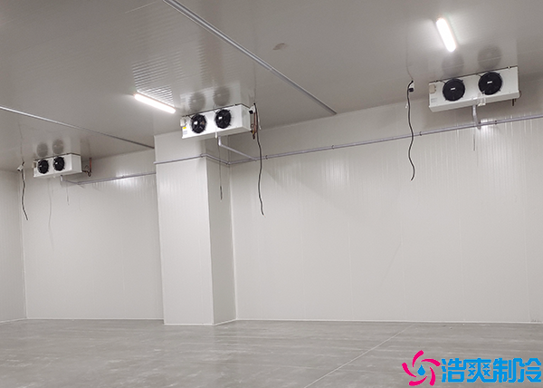 大型水蜜桃在线视频