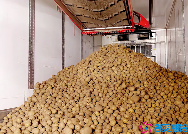 土豆水蜜桃在线视频