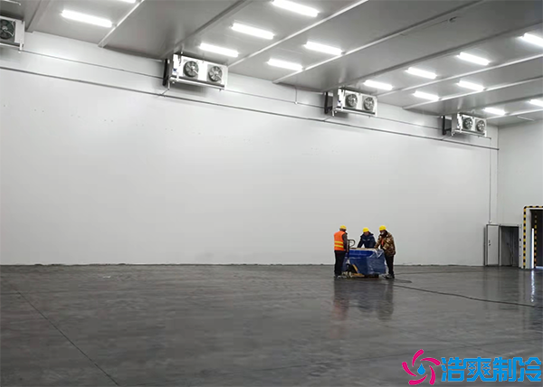 土豆水蜜桃在线视频