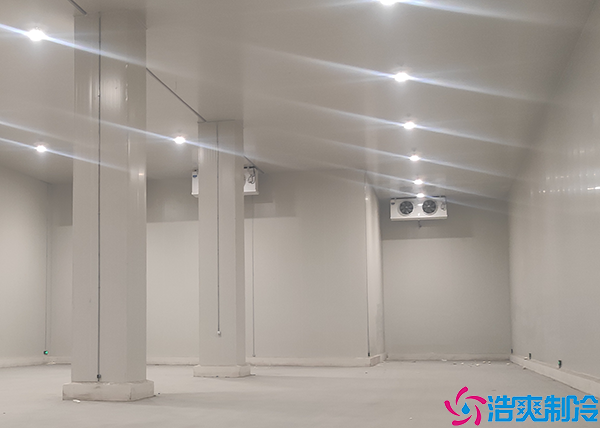 蔬菜物流水蜜桃在线视频