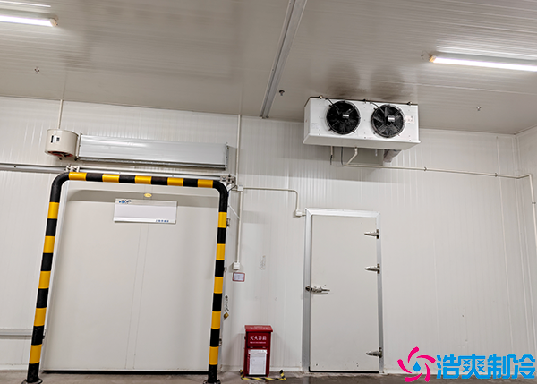 小型肉品水蜜桃在线视频