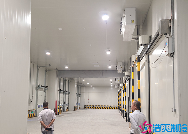 综合物流水蜜桃在线视频