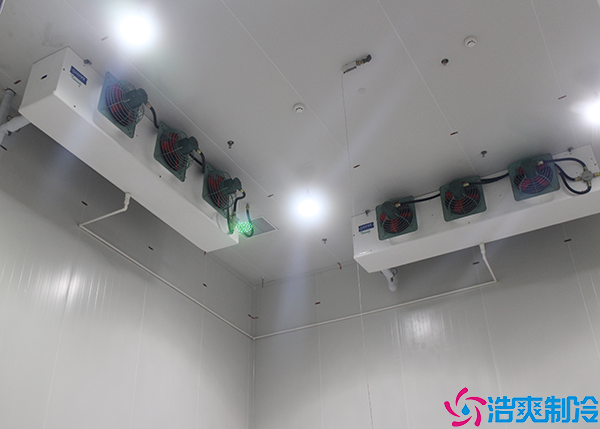 双温水蜜桃在线视频