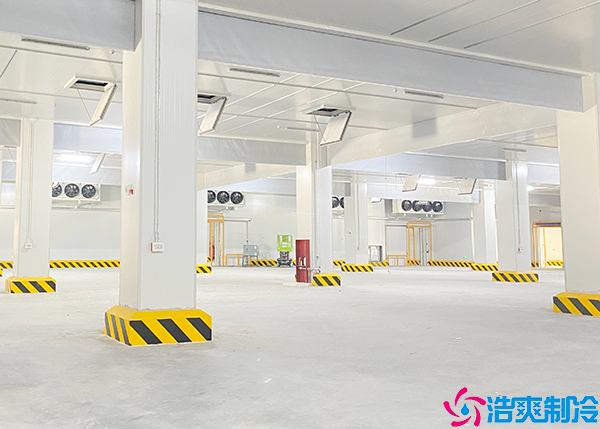 大型物流水蜜桃在线视频