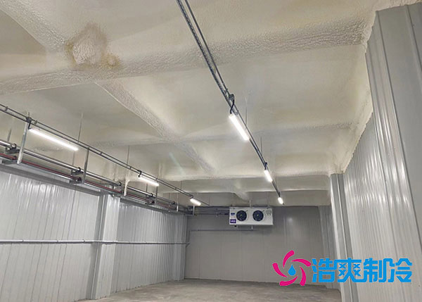 物流小型水蜜桃在线视频安装.jpg