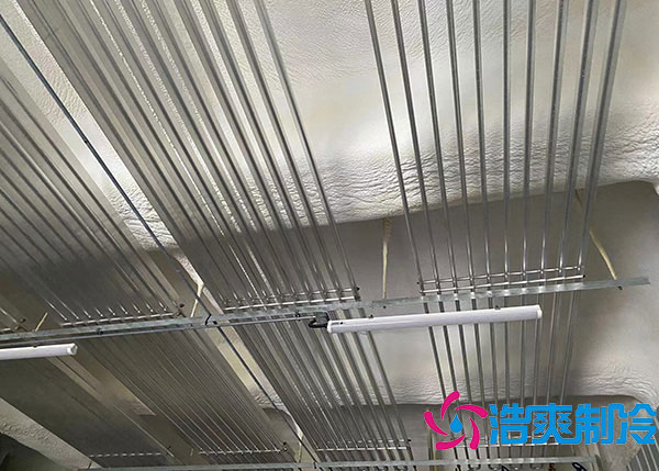 杨梅水蜜桃在线视频储存适宜温度和方法.jpg
